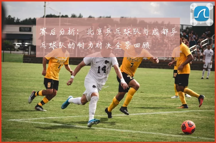 赛后分析：北京乒乓球队与成都乒乓球队的耐力对决全景回顾
