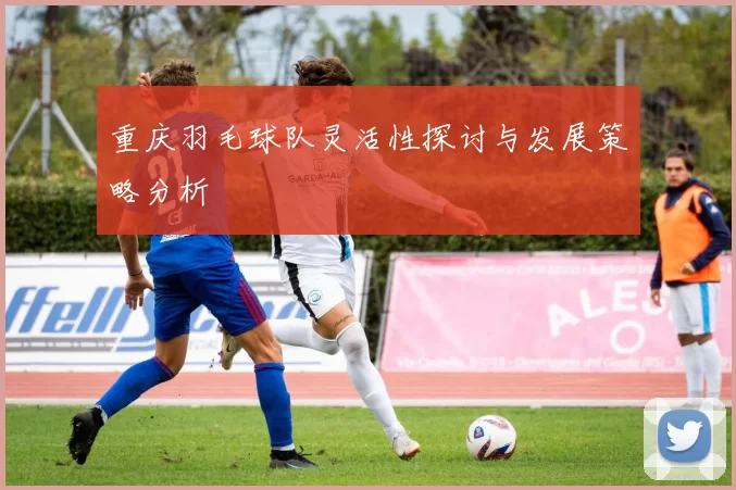 重庆羽毛球队灵活性探讨与发展策略分析