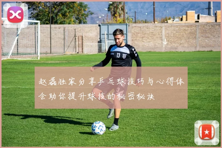 赵磊独家分享乒乓球技巧与心得体会助你提升球技的秘密秘诀