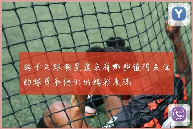 狗子足球明星盘点有哪些值得关注的球员和他们的精彩表现