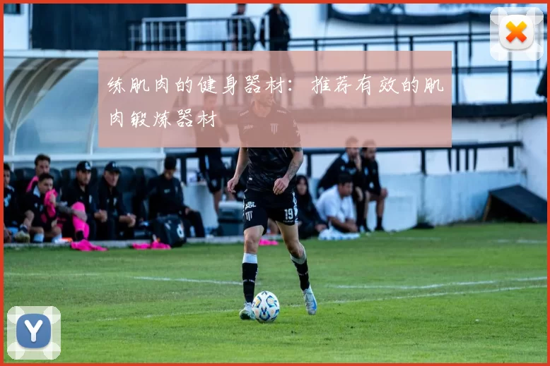 练肌肉的健身器材：推荐有效的肌肉锻炼器材