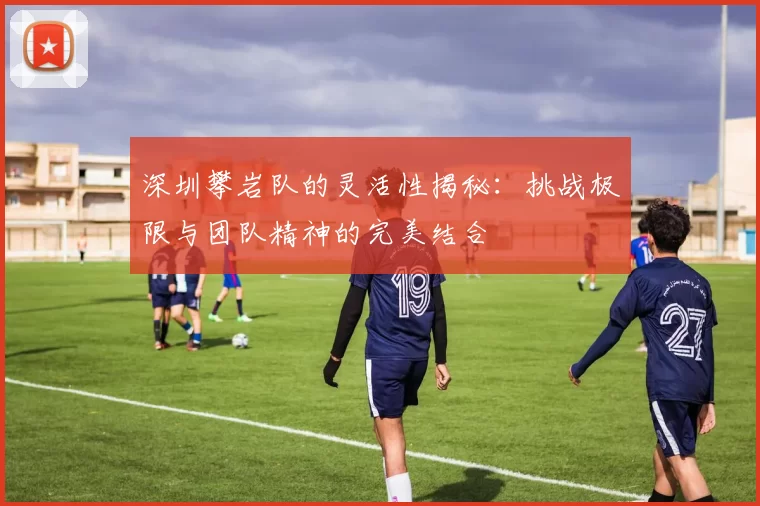 深圳攀岩队的灵活性揭秘：挑战极限与团队精神的完美结合