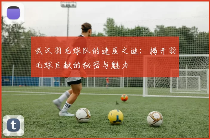 武汉羽毛球队的速度之谜：揭开羽毛球巨献的秘密与魅力