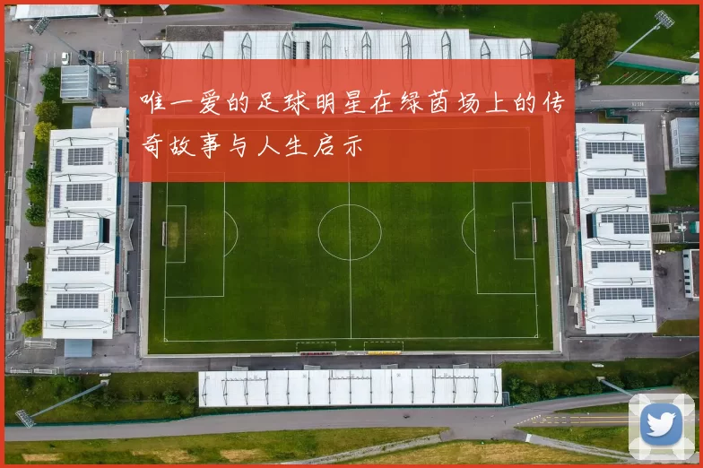 唯一爱的足球明星在绿茵场上的传奇故事与人生启示