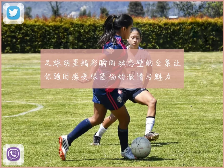 足球明星精彩瞬间动态壁纸合集让你随时感受绿茵场的激情与魅力