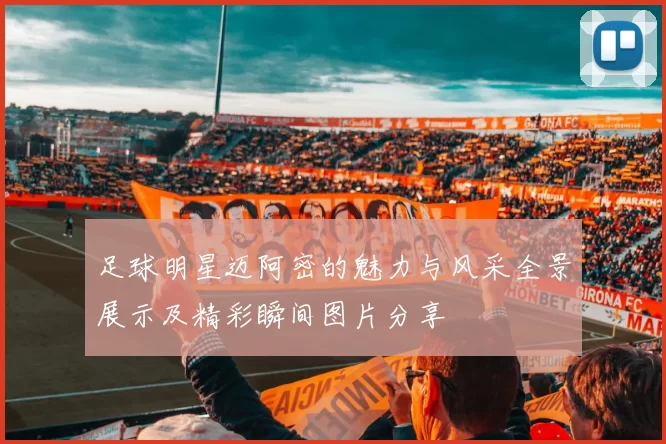 足球明星迈阿密的魅力与风采全景展示及精彩瞬间图片分享