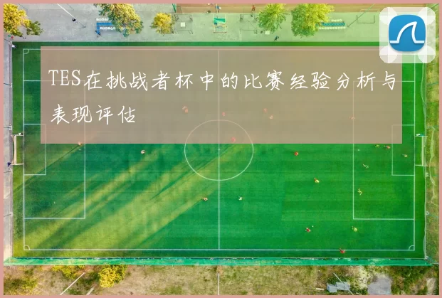 TES在挑战者杯中的比赛经验分析与表现评估